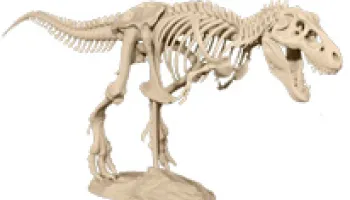 Help Revolutionize Classroom Learning and Research with 3-D Printed Fossils, Maps and Rocks