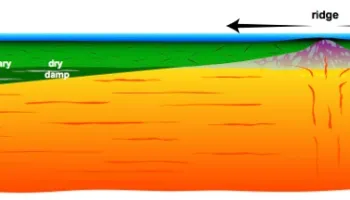 Seeing Beneath The Surface of Plate Tectonics