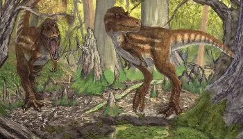 When Tyrannosaurs Dominated, Medium-sized Predators Disappeared