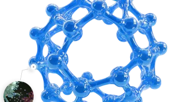 Reversal Therapeutics Joins Mtech Ventures