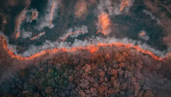 NSF Funding Fuels Wildland Fire AI Research at UMD