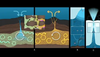 UMD Astrobiologist on Team Selected by NASA to Investigate Ocean Worlds and Their Organic Carbon Cycles