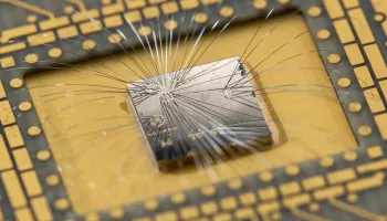 Researchers Spy Finish Line in Race for Majorana Qubits