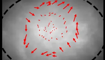 Mysteriously Mundane Turbulence Revealed in 2D Superfluid