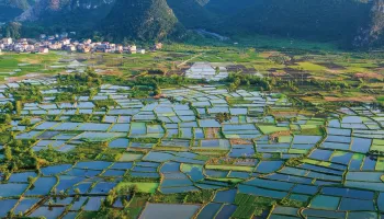 Greenhouse Gas Emissions From Rice Production Have Doubled Since 1961, UMD Study Finds