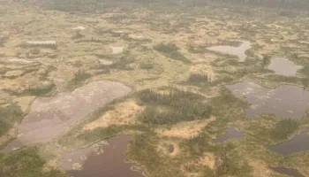 What Can Wetlands Tell Us About Methane Emissions?