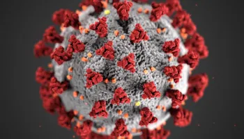Coronavirus Stories