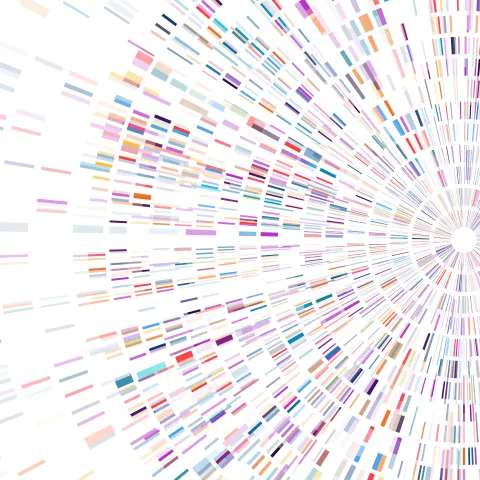 Bioinformatics image