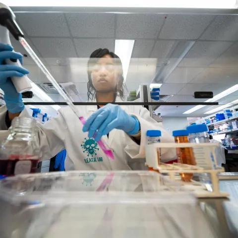 Student working in a lab