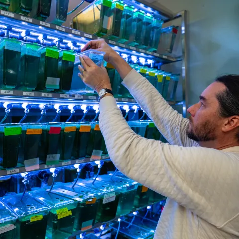 Man reaching for samples in lab
