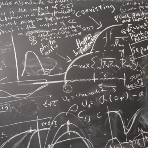 math on a chalkboard