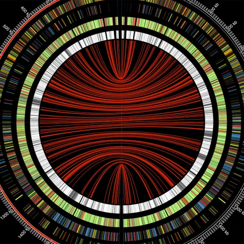 data science image
