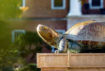 Testudo Statue