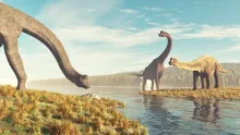 Brachiosaurs stock photo