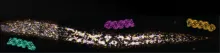 Multiple forms of double-stranded RNA (blue, magenta, orange structures) cross cell membranes with the help of a conserved protein located in novel sites (colored by depth) throughout the roundworm's body.