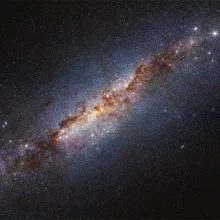 M82