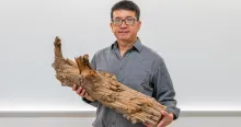 Ning Zeng holds a preserved log