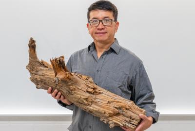 Ning Zeng holds a preserved log