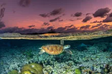 ocean image