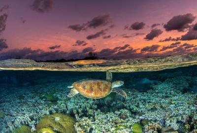 ocean image