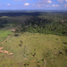 Deforestation in Brazil