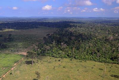 Deforestation in Brazil