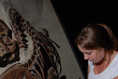 Author Laura Surring examines a tyrannosaur's fossilized bones