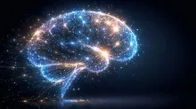 stock image of brain