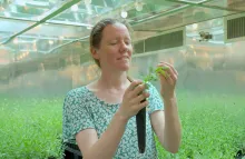 Woman holding up a plant in a greenhouse