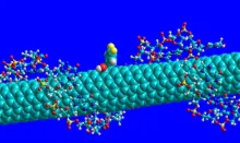 Molecular model of quantum sensor.