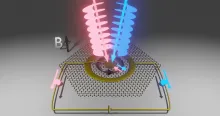 In a new experiment, light beams carrying orbital angular momentum caused electrons in graphene to gain (blue beam) and lose (red beam) angular momentum, transporting them across the sample and generating a current that researchers measured. (Credit: Mahmoud Jalali Mehrabad/JQI)