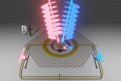 In a new experiment, light beams carrying orbital angular momentum caused electrons in graphene to gain (blue beam) and lose (red beam) angular momentum, transporting them across the sample and generating a current that researchers measured. (Credit: Mahmoud Jalali Mehrabad/JQI)