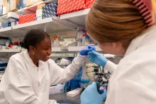 Ademide Adeyemo and Caroline Hobson collaborate at the lab bench.