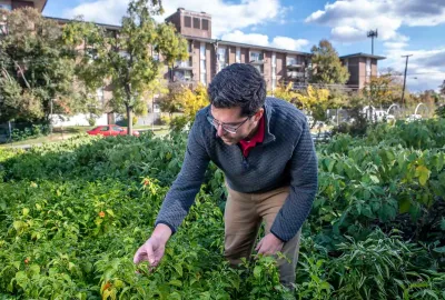 Ryan Blaustein stands in a field of plants at Bladensburg's Eco City Farms