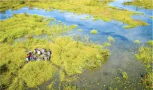 students in body of water