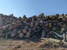 Wood debris piled up