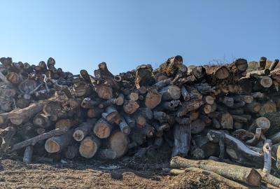 Wood debris piled up