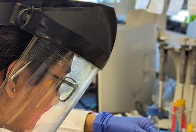 A woman in blue surgical gloves wearing a face shield works with a plant on a lab bench.