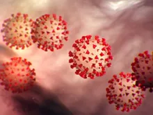 The COVID-19 virus