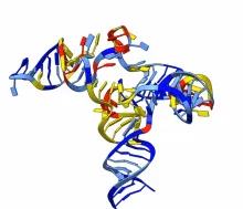 Graphic representation of RNA made up of different colored strands woven together.