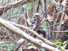 person in the forest