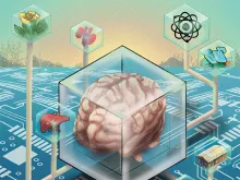 An illustration of elements of this article, such as a circuit board patter, a brain, molecules, a credit card, organs, etc.