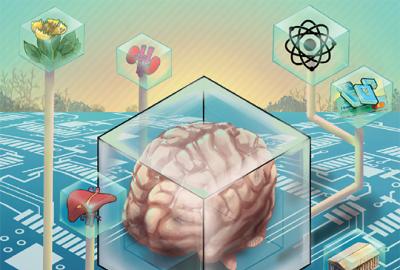 An illustration of elements of this article, such as a circuit board patter, a brain, molecules, a credit card, organs, etc.