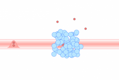 Researchers have engineered a cloud of atoms (blue circles) to create exotic interactions that selectively whittle down a beam of light made of bunches of one, two or three photons (red circles). In the animation above, the ideal case is presented: All groups of three photons interact with each other and are knocked out of the beam, while the smaller bunches pass through unaffected. (Credit: Chris Cesare/JQI)