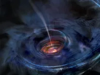 Black hole disk