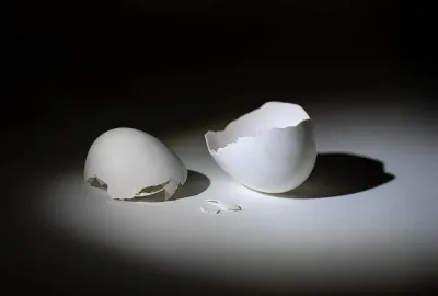 Eggs