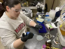 Emma Neiswender doing labwork