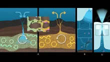 The Investigating Ocean Worlds (InvOW) project will measure organic compounds across three domains:  the subseafloor (A), the ocean (B), and the cryosphere (C), 