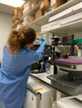  A woman in blue works at the bench in a lab.