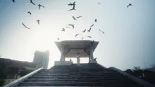 Black kites fill the skies of New Dehli, setting of an Academy Award-nominated film, executive produced by a UMD researcher, that tells the story of two brothers (photo at bottom) who rescue these and other birds of prey.  Film stills courtesy of HBO.
